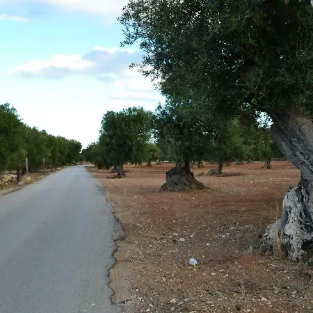 Le Terrazze فندق مبيت وإفطار 3*