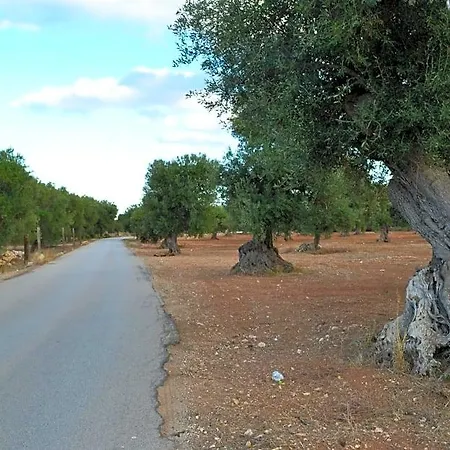 Le Terrazze 3* Manduria