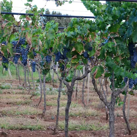 Le Terrazze Nocleg ze śniadaniem Manduria